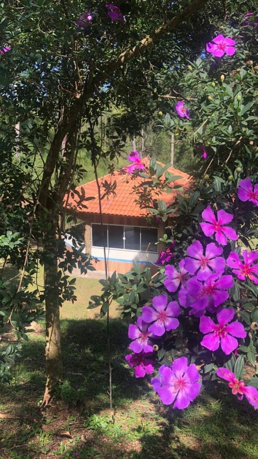 Pousada Camping E Restaurante Vila Dos Arcanjos بوكاينا دي ميناس المظهر الخارجي الصورة